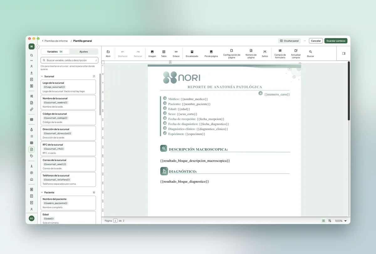 Editor de plantillas de reporte de anatomía patológica en Nori