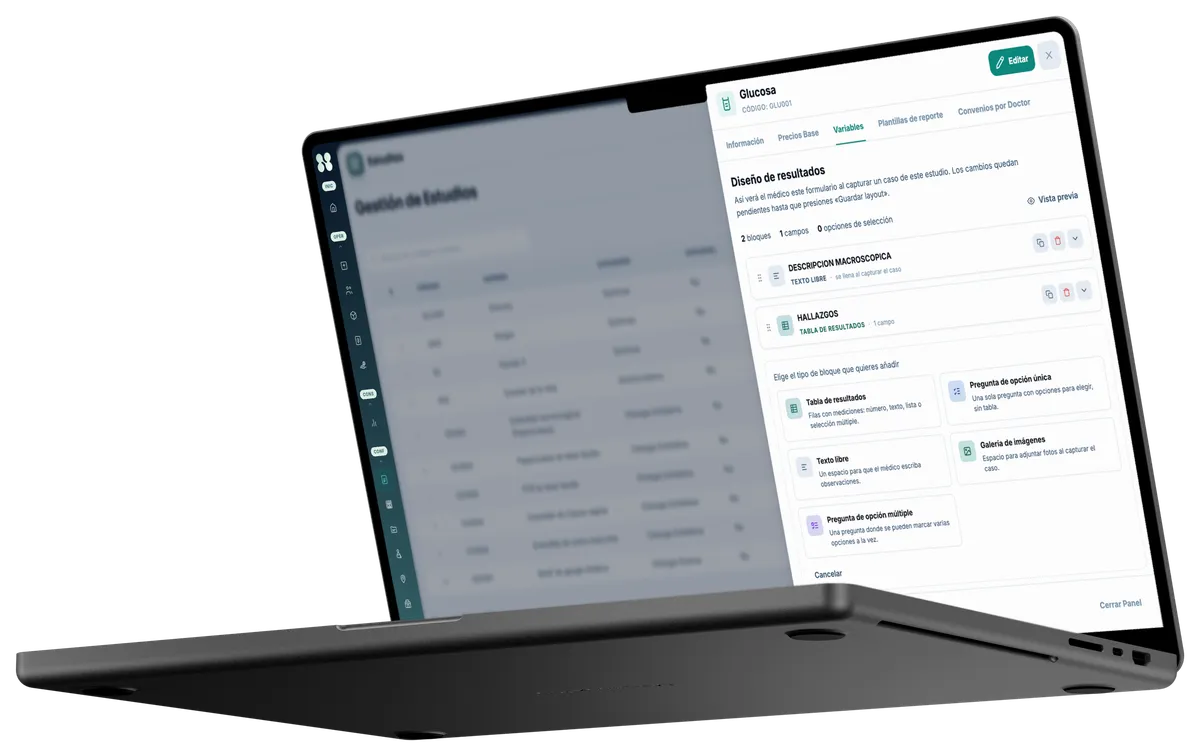Nori en laptop: plantillas de informe